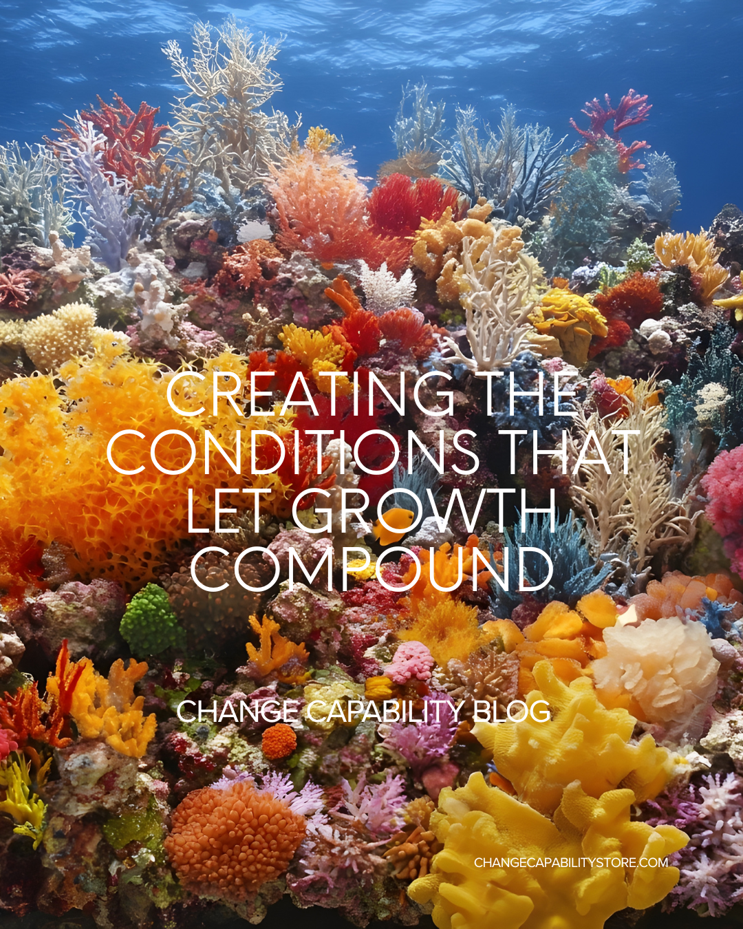Creating the Conditions That Let Growth Compound