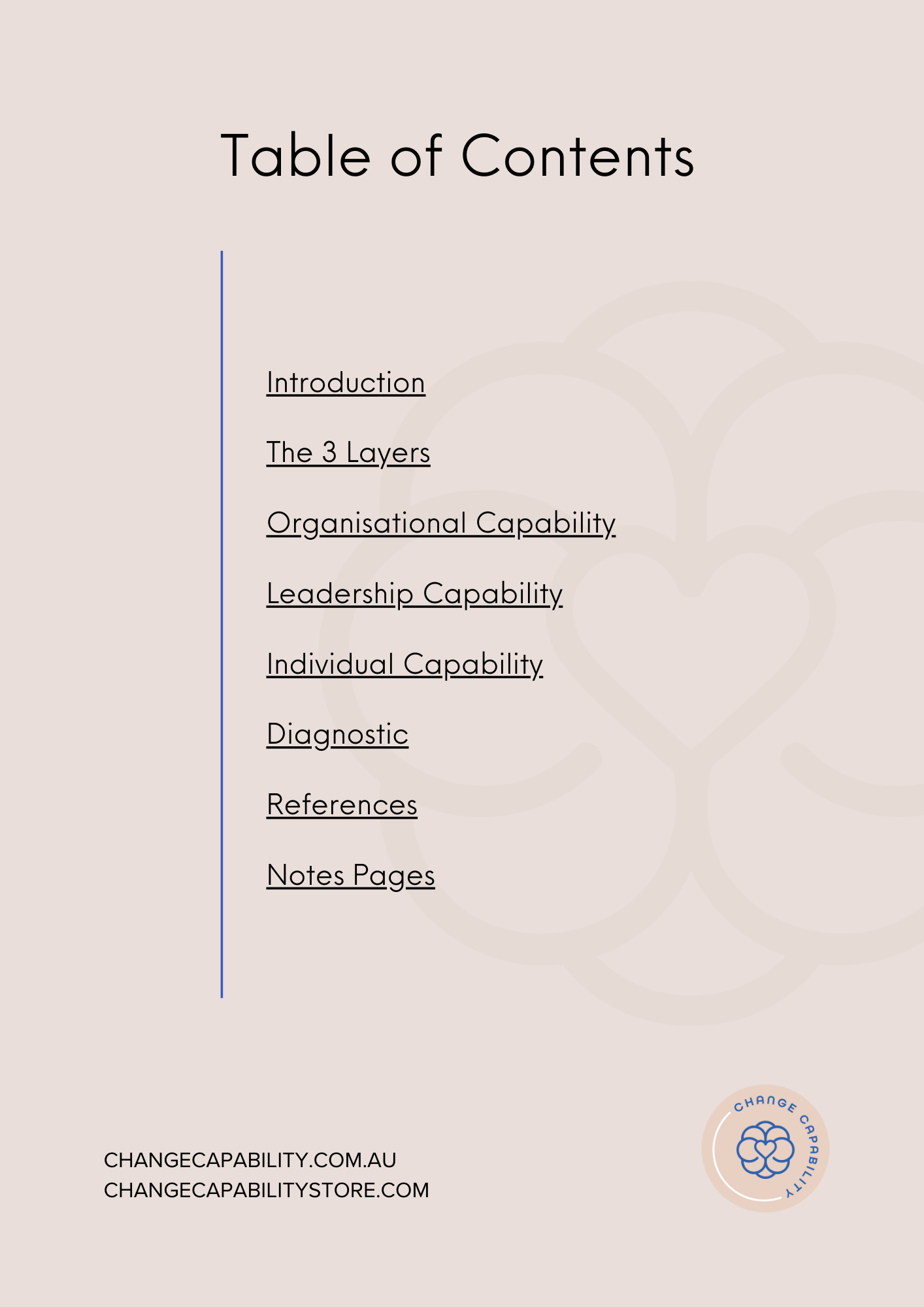 Beyond Change Management: The Framework that helps you reach your vision without the hidden people costs most transformations leave behind.